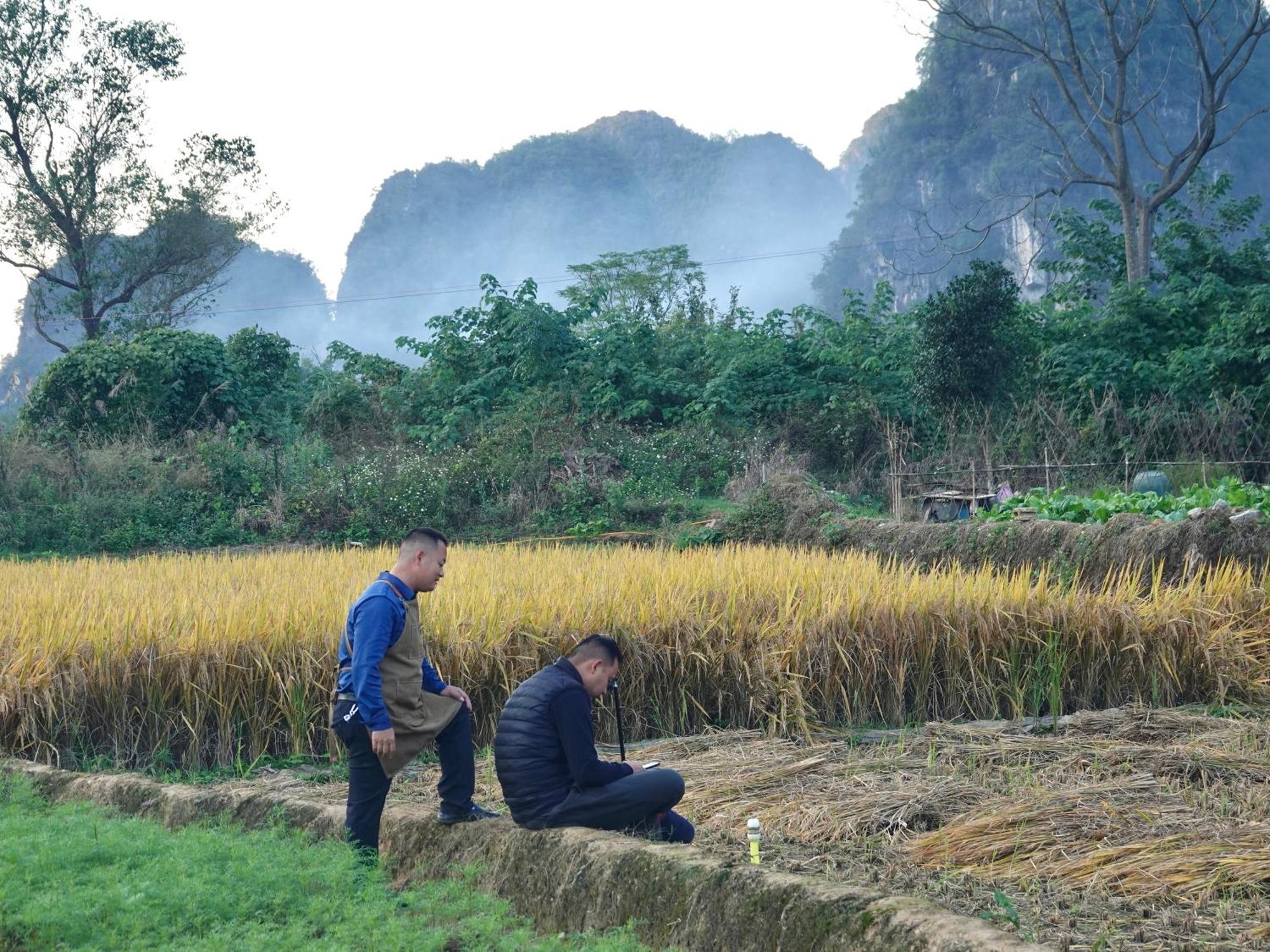 Yangshuo Xiao Long River Hotel Εξωτερικό φωτογραφία